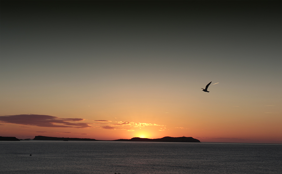 Sant Antoni de Portmany Ibiza